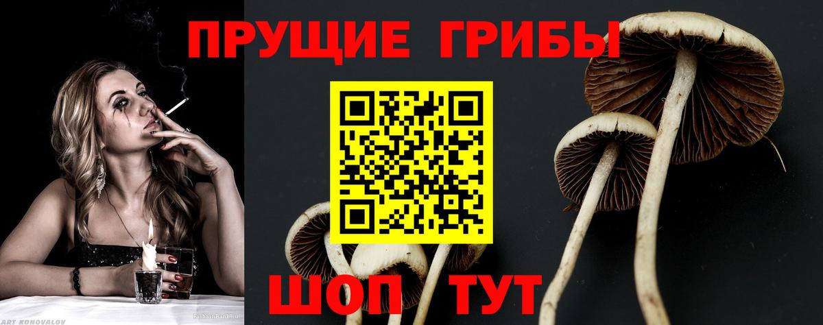 Чистополь  Галлюциногенные грибы Psilocybine cubensis  Вход с VPN  Галлюциногенные грибы прущие грибы 